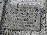 image of grave number 950588